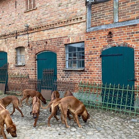 Bauernhof-Streichel-Zoo-Kombi-Familien-Suite-Im-Wald-Am-See Gulow Exteriör bild