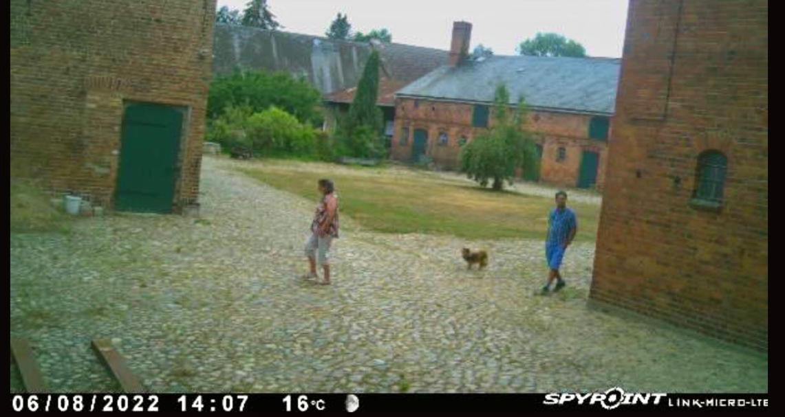 Bauernhof-Streichel-Zoo-Kombi-Familien-Suite-Im-Wald-Am-See Gulow Exteriör bild