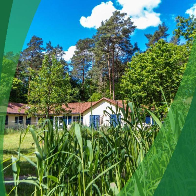 Bauernhof-Streichel-Zoo-Kombi-Familien-Suite-Im-Wald-Am-See Gulow Exteriör bild