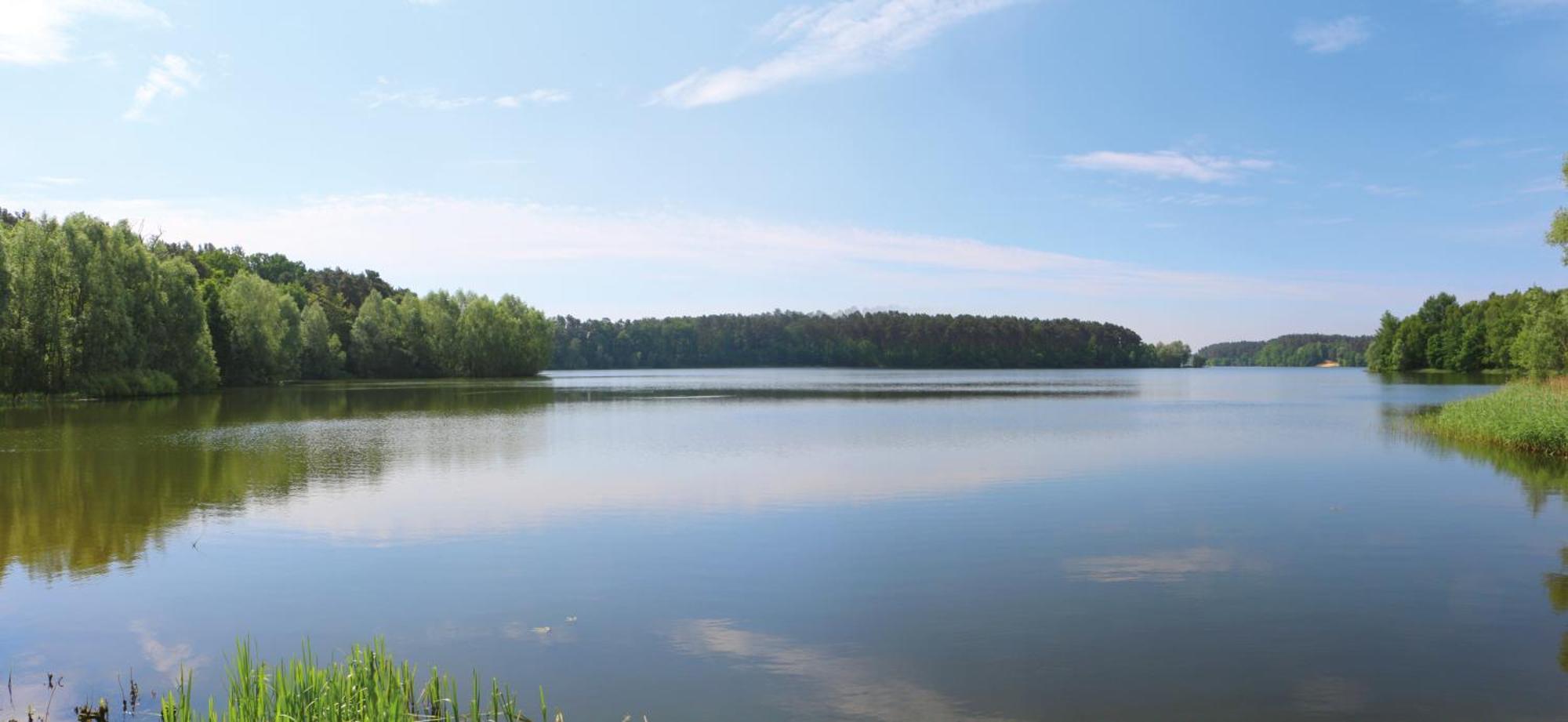 Bauernhof-Streichel-Zoo-Kombi-Familien-Suite-Im-Wald-Am-See Gulow Exteriör bild
